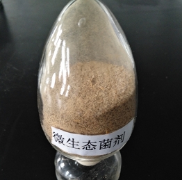 內(nèi)蒙古芝麻香型白酒高效微生態(tài)菌劑